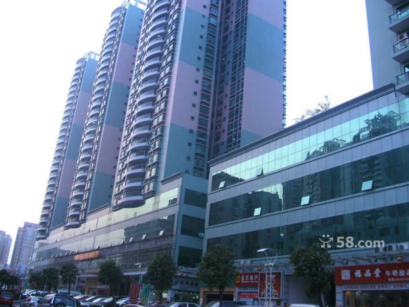 東莞市百萬房地產經紀工作環境分析 職業溫度與企業責任